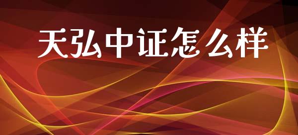 天弘中证怎么样_https://wap.lxcailiao.com_股权投资_第1张