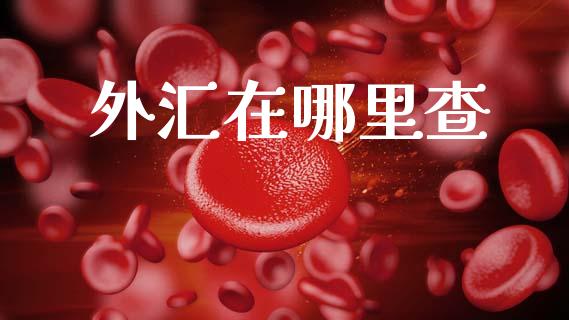 外汇在哪里查_https://wap.lxcailiao.com_金融监管_第1张