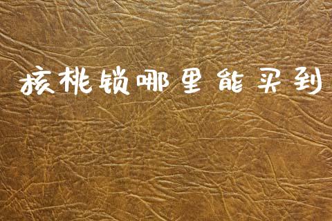 核桃锁哪里能买到_https://wap.lxcailiao.com_财务管理_第1张