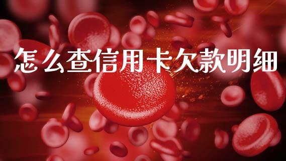 怎么查信用卡欠款明细_https://wap.lxcailiao.com_融资担保_第1张