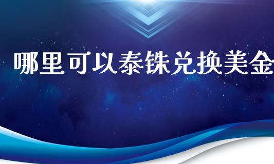 哪里可以泰铢兑换美金_https://wap.lxcailiao.com_金融监管_第1张