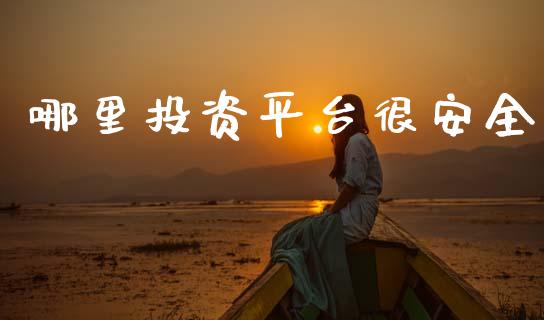 哪里投资平台很安全_https://wap.lxcailiao.com_金融监管_第1张