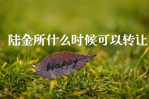 陆金所什么时候可以转让_https://wap.lxcailiao.com_融资担保_第1张
