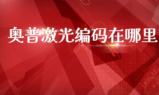 奥普激光编码在哪里_https://wap.lxcailiao.com_融资担保_第1张