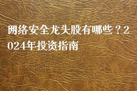网络安全龙头股有哪些？2024年投资指南_https://wap.lxcailiao.com_融资担保_第1张