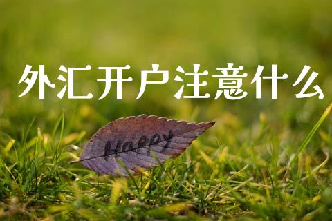 外汇开户注意什么_https://wap.lxcailiao.com_融资担保_第1张