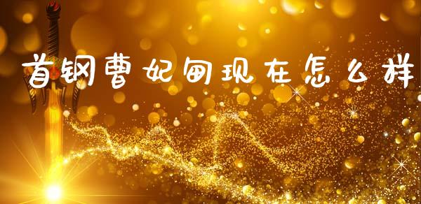 首钢曹妃甸现在怎么样_https://wap.lxcailiao.com_金融监管_第1张
