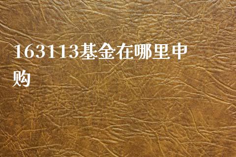 163113基金在哪里申购_https://wap.lxcailiao.com_金融监管_第1张