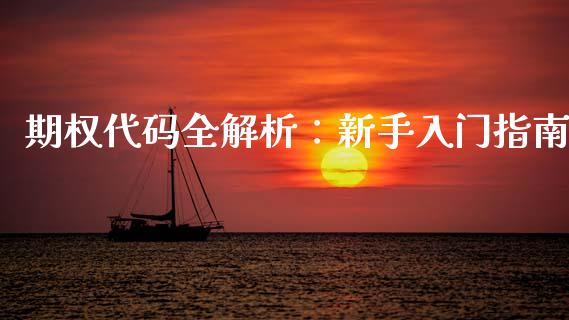 期权代码全解析：新手入门指南_https://wap.lxcailiao.com_股权投资_第1张