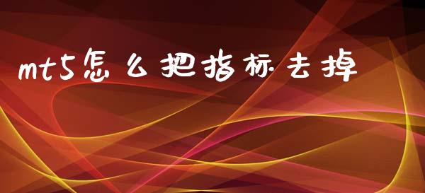 mt5怎么把指标去掉_https://wap.lxcailiao.com_融资担保_第1张