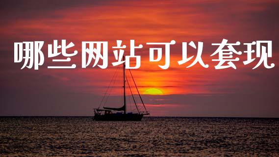 哪些网站可以套现_https://wap.lxcailiao.com_融资担保_第1张