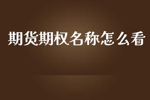 期货期权名称怎么看_https://wap.lxcailiao.com_金融监管_第1张