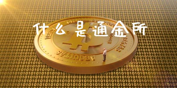 什么是通金所_https://wap.lxcailiao.com_股权投资_第1张