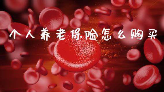 个人养老保险怎么购买_https://wap.lxcailiao.com_财务管理_第1张