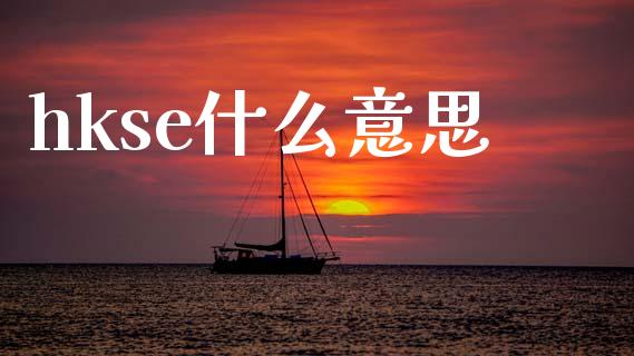 hkse什么意思_https://wap.lxcailiao.com_融资担保_第1张