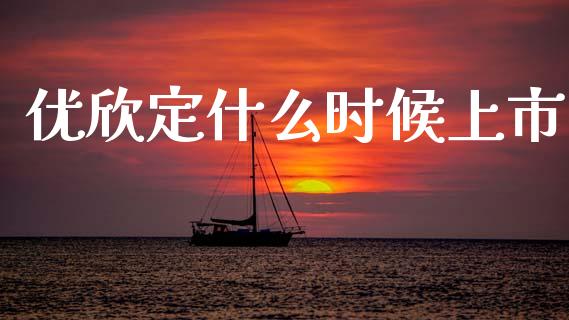 优欣定什么时候上市_https://wap.lxcailiao.com_融资担保_第1张