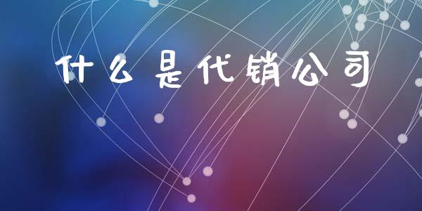 什么是代销公司_https://wap.lxcailiao.com_财务管理_第1张