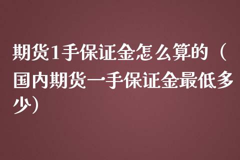 期货1手保证金怎么算的（国内期货一手保证金最低多少）_https://wap.lxcailiao.com_股权投资_第1张