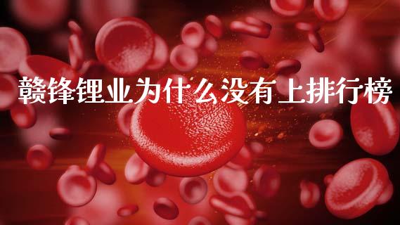 赣锋锂业为什么没有上排行榜_https://wap.lxcailiao.com_融资担保_第1张