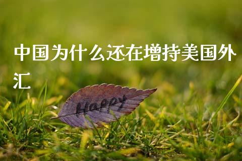 中国为什么还在增持美国外汇_https://wap.lxcailiao.com_财务管理_第1张