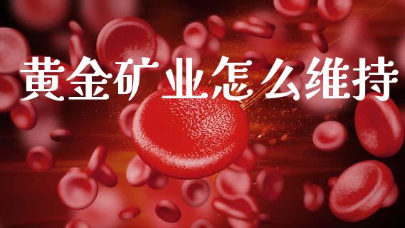 黄金矿业怎么维持_财务管理_第1张_金融监管_融资担保_财务管理_股权投资 黄金矿业怎么维持_https://wap.lxcailiao.com_财务管理_第1张