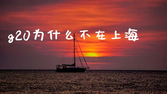 g20为什么不在上海_https://wap.lxcailiao.com_金融监管_第1张