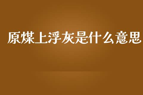 原煤上浮灰是什么意思_https://wap.lxcailiao.com_金融监管_第1张