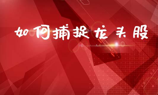 如何捕捉龙头股_https://wap.lxcailiao.com_股权投资_第1张