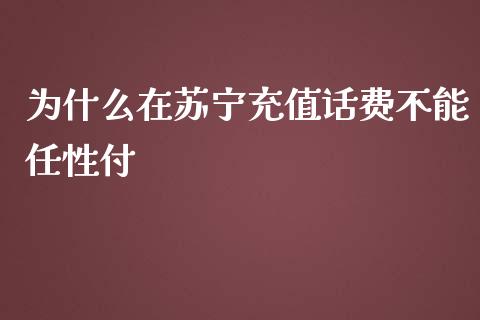 为什么在苏宁充值话费不能任性付_https://wap.lxcailiao.com_融资担保_第1张