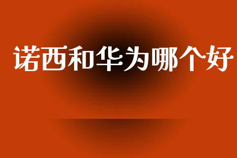 诺西和华为哪个好_https://wap.lxcailiao.com_融资担保_第1张