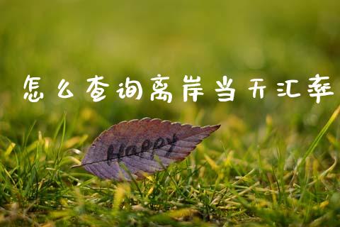 怎么查询离岸当天汇率_https://wap.lxcailiao.com_股权投资_第1张