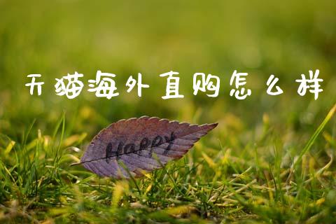 天猫海外直购怎么样_https://wap.lxcailiao.com_股权投资_第1张