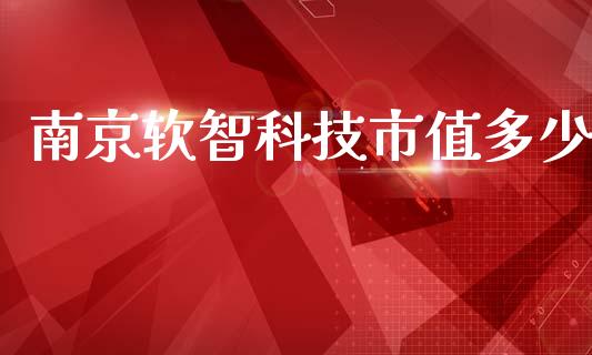 南京软智科技市值多少_https://wap.lxcailiao.com_金融监管_第1张