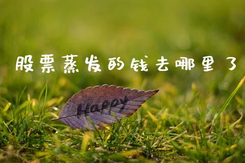 股票蒸发的钱去哪里了_https://wap.lxcailiao.com_金融监管_第1张