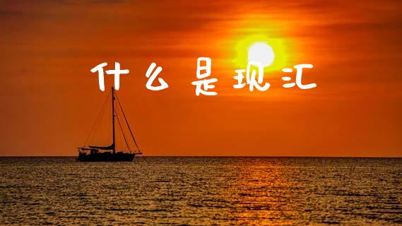 什么是现汇_https://wap.lxcailiao.com_财务管理_第1张