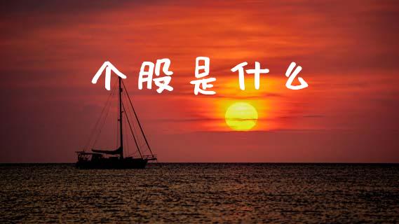 个股是什么_https://wap.lxcailiao.com_财务管理_第1张