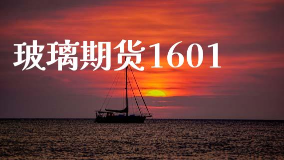 玻璃期货1601_https://wap.lxcailiao.com_财务管理_第1张