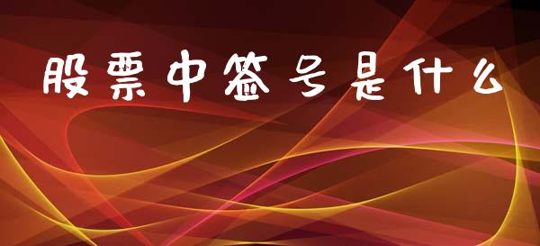 股票中签号是什么_https://wap.lxcailiao.com_金融监管_第1张