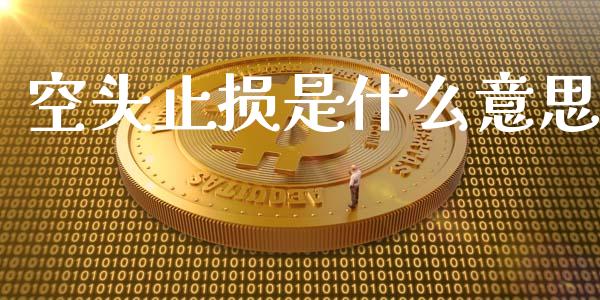 空头止损是什么意思_https://wap.lxcailiao.com_金融监管_第1张