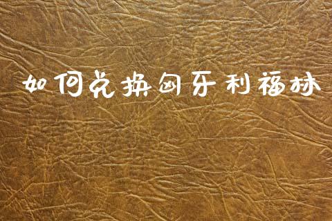 如何兑换匈牙利福林_https://wap.lxcailiao.com_融资担保_第1张