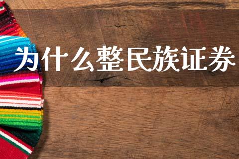 为什么整民族证券_https://wap.lxcailiao.com_金融监管_第1张