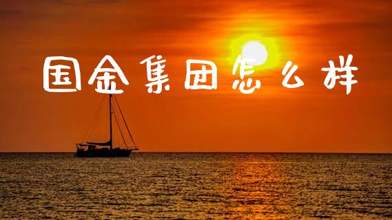 国金集团怎么样_https://wap.lxcailiao.com_金融监管_第1张