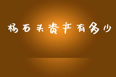 杨石头资产有多少_https://wap.lxcailiao.com_融资担保_第1张