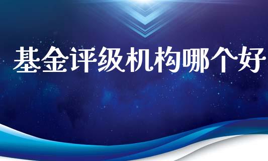 基金评级机构哪个好_https://wap.lxcailiao.com_金融监管_第1张