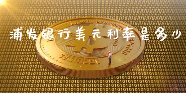 浦发银行美元利率是多少_https://wap.lxcailiao.com_金融监管_第1张