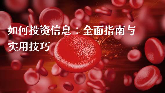 如何投资信息：全面指南与实用技巧_https://wap.lxcailiao.com_财务管理_第1张