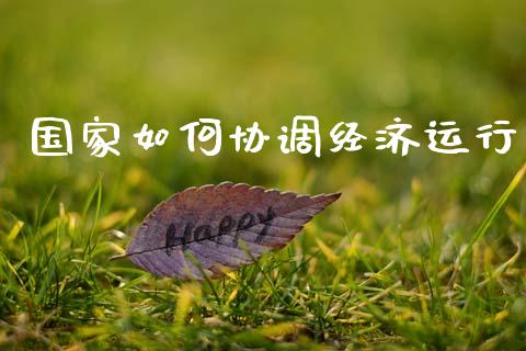 国家如何协调经济运行_https://wap.lxcailiao.com_股权投资_第1张