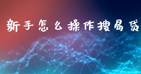 新手怎么操作搜易贷_https://wap.lxcailiao.com_股权投资_第1张
