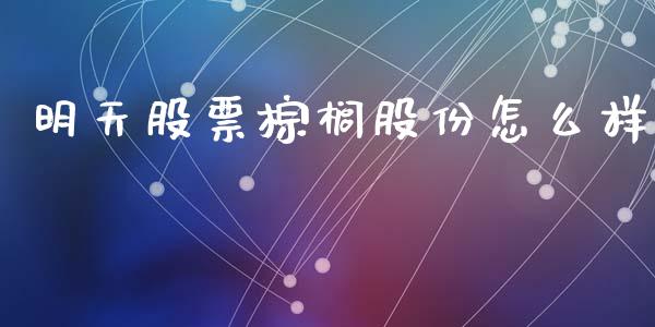 明天股票棕榈股份怎么样_https://wap.lxcailiao.com_金融监管_第1张