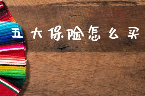 五大保险怎么买_https://wap.lxcailiao.com_金融监管_第1张